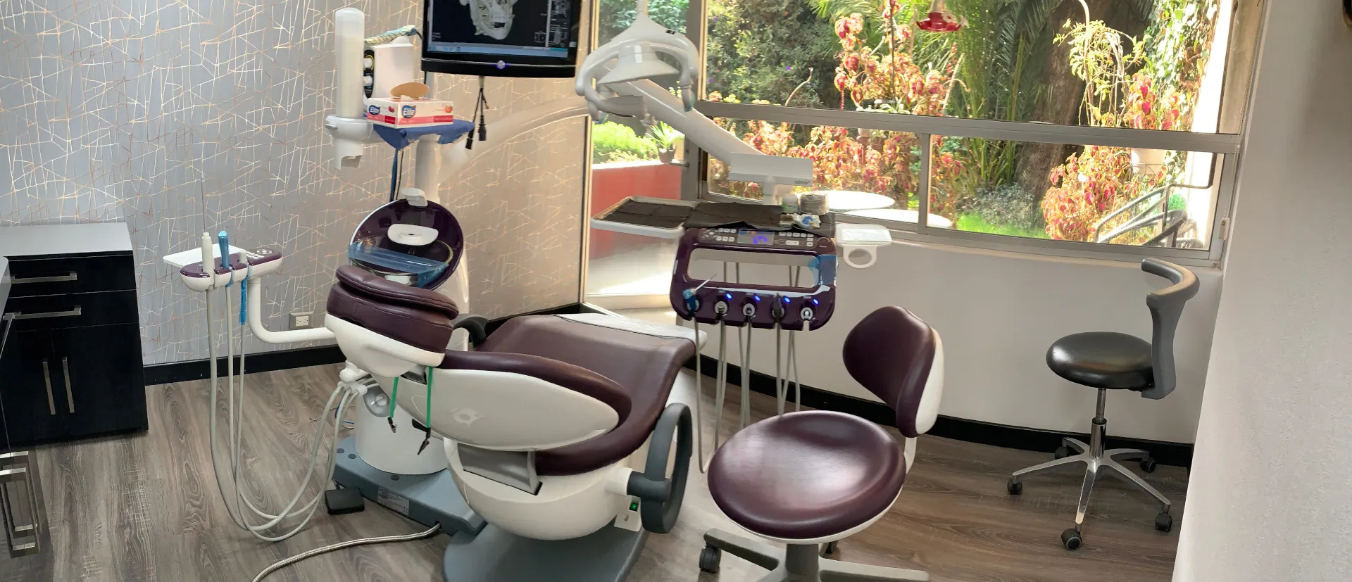 Consultorio Dental & Implant Studio Dra. Katia
                  Peña